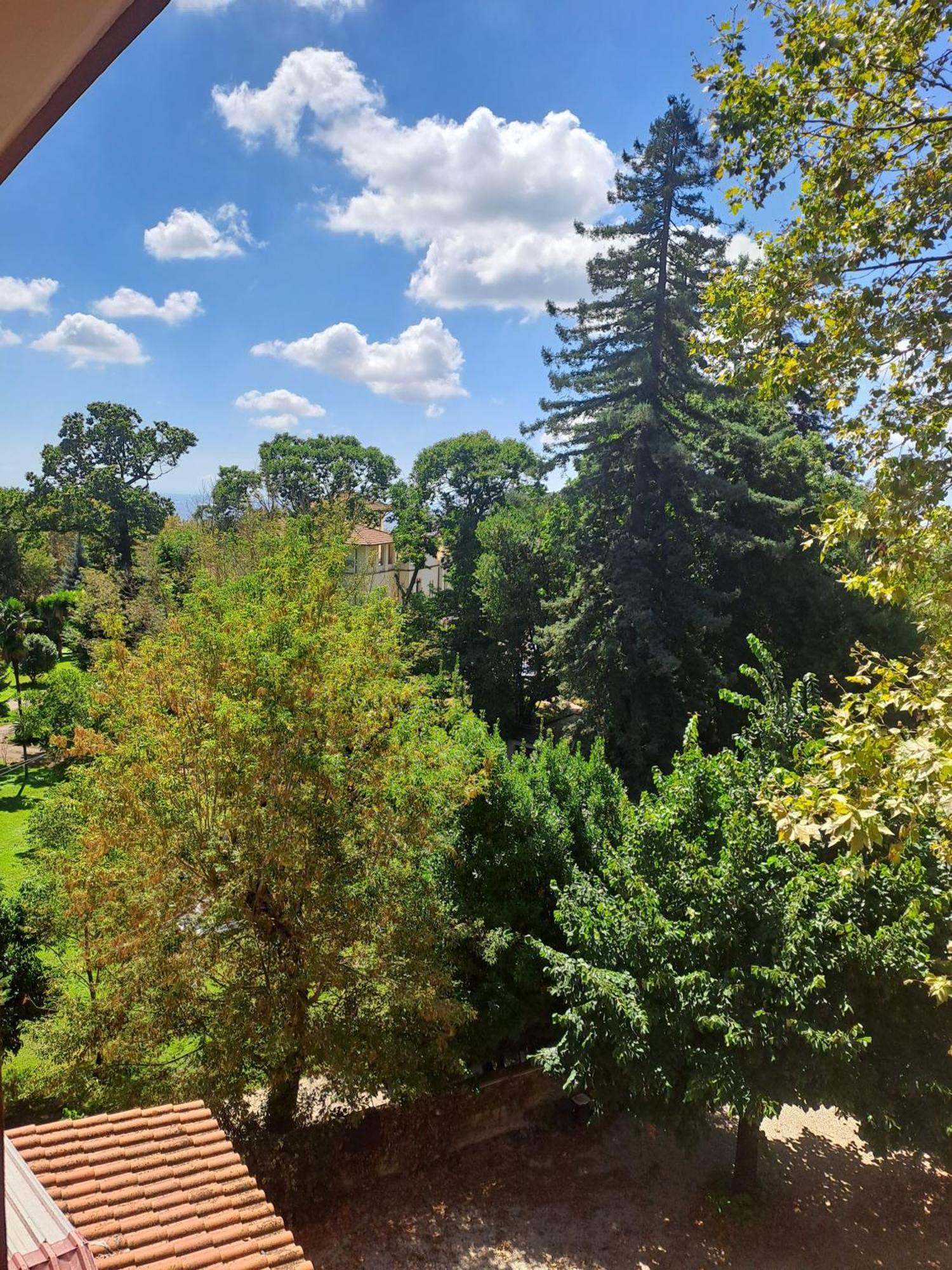 Hotel Villa Robinia Genzano di Roma Εξωτερικό φωτογραφία